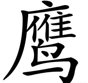 鹰